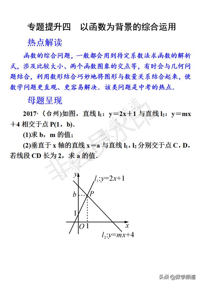 初中数学-中考十二块内容-专题提升-（四）以函数为背景的运用