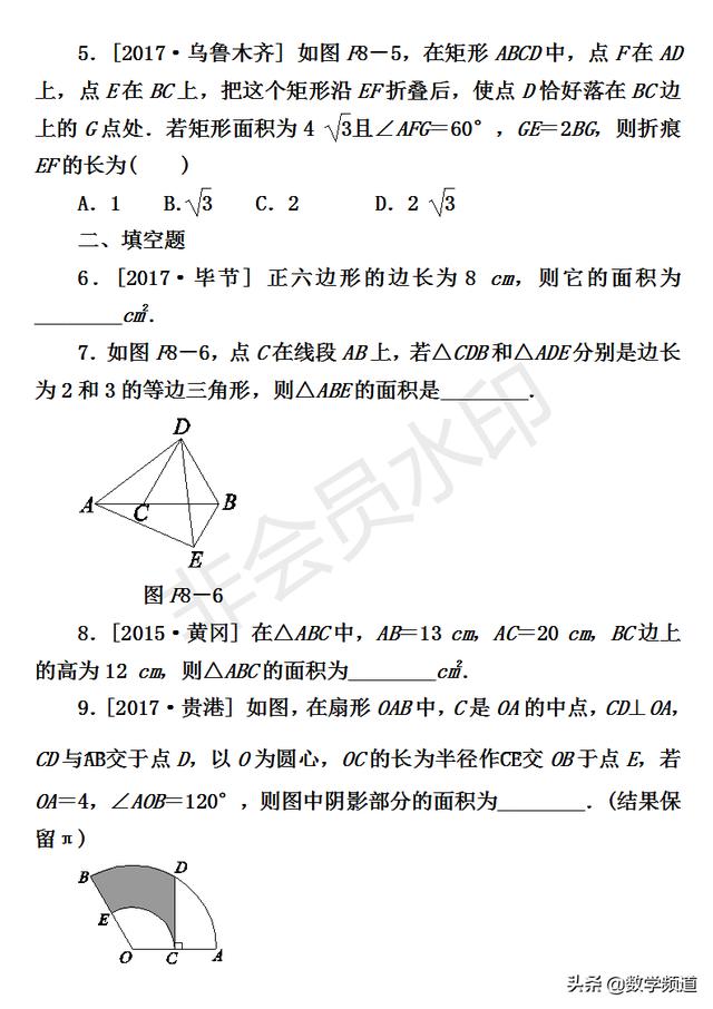 初中数学-八大技巧专题-（八）面积训练