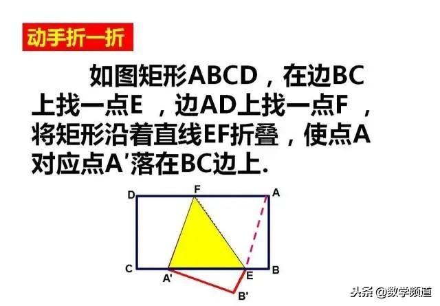 矩形中的翻折问题-专项讨论