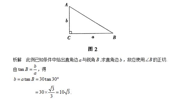 解直角三角形有策略，学会这五点再也不难