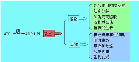 高考理综精华！得理综者得天下，高三党必看！