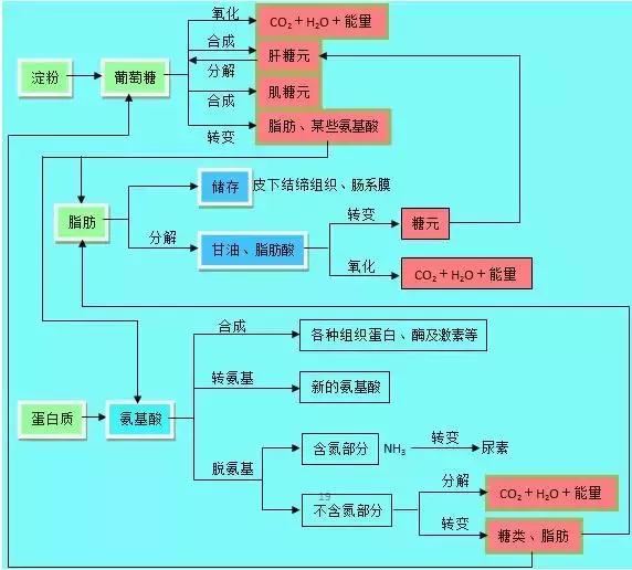 高考理综精华！得理综者得天下，高三党必看！