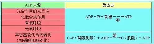 高考理综精华！得理综者得天下，高三党必看！