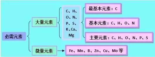 高考理综精华！得理综者得天下，高三党必看！