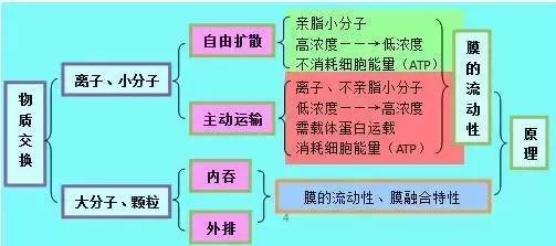 高考理综精华！得理综者得天下，高三党必看！