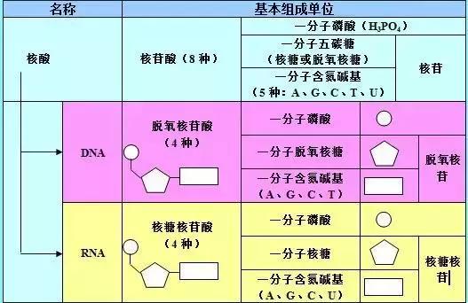 高考理综精华！得理综者得天下，高三党必看！