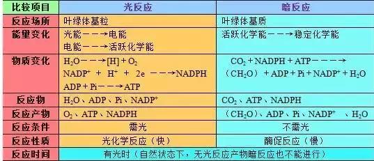 高考理综精华！得理综者得天下，高三党必看！