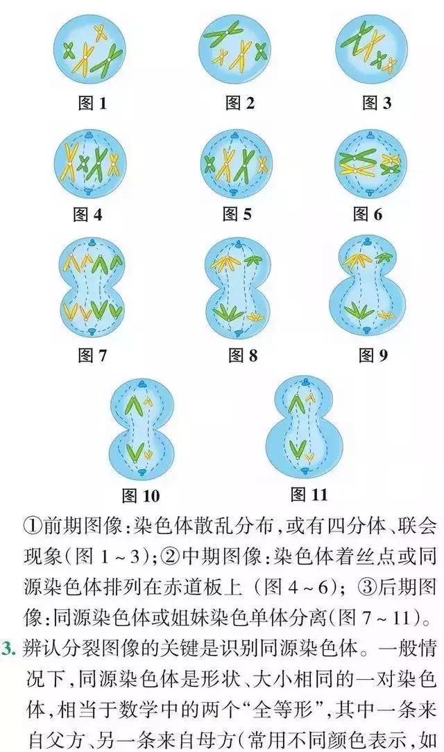 高中「物化生」必考题型&解题模板，让你答题准确率猛窜！