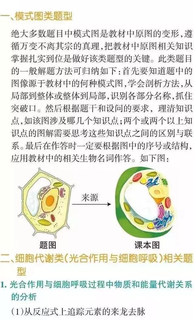 高中「物化生」必考题型&解题模板，让你答题准确率猛窜！