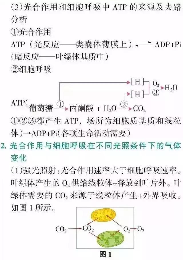 高中「物化生」必考题型&解题模板，让你答题准确率猛窜！