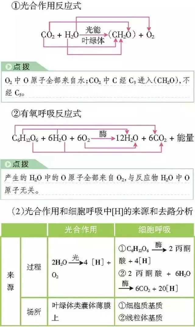 高中「物化生」必考题型&解题模板，让你答题准确率猛窜！