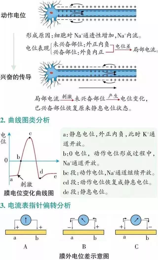 高中「物化生」必考题型&解题模板，让你答题准确率猛窜！