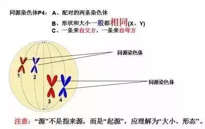 高考生物基础图例及对应考点汇总，必须收藏！