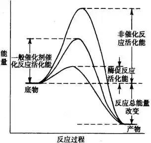 高考生物基础图例及对应考点汇总，必须收藏！