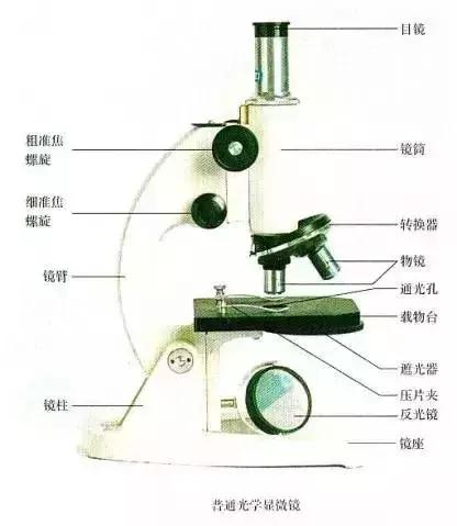 高考生物基础图例及对应考点汇总，必须收藏！