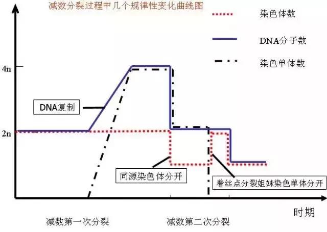 高考生物基础图例及对应考点汇总，必须收藏！