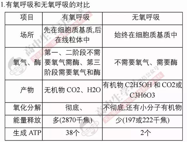 40张表背完3年生物必修/选修知识点！期末复习必备！