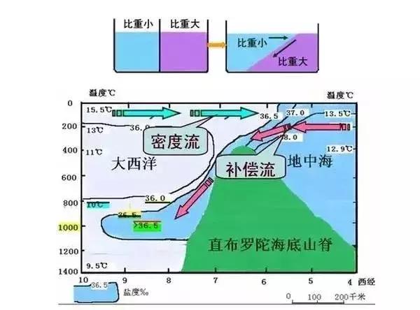 【地理】高中地理洋流知识整理合集，适用于艺考生，建议收藏