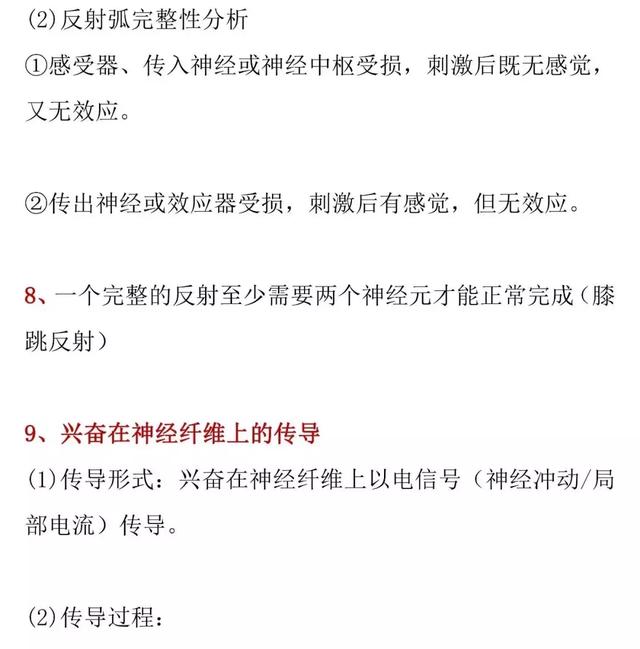 【高考生物】兴奋的产生和传递的知识详解