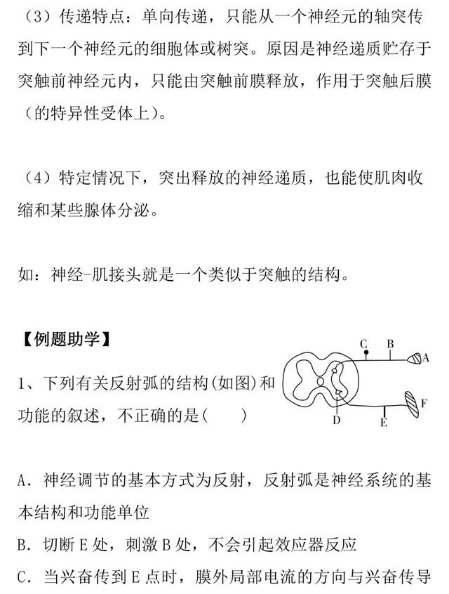 【高考生物】兴奋的产生和传递的知识详解