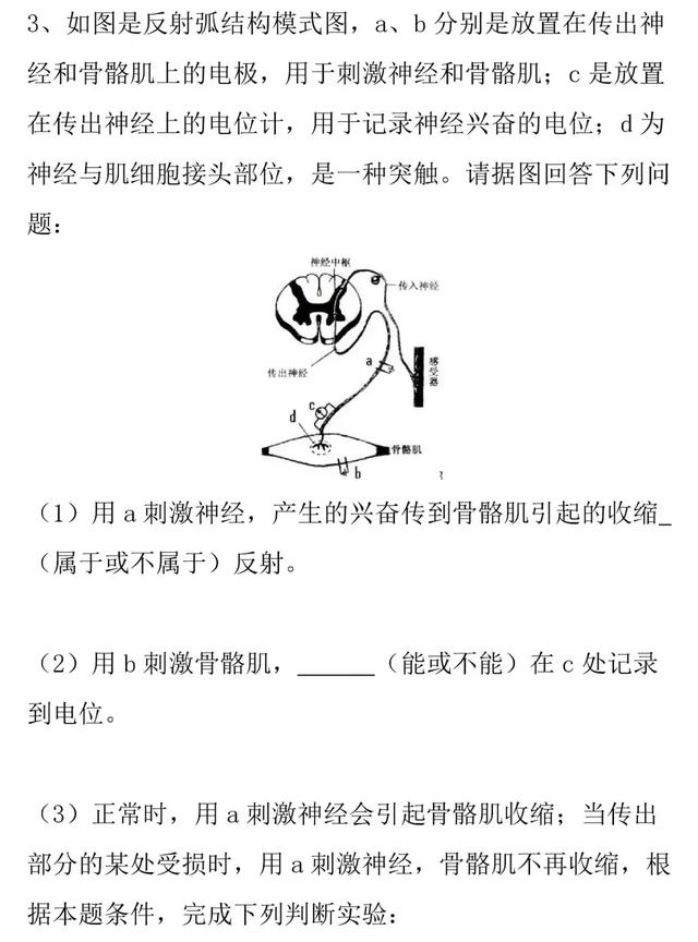 【高考生物】兴奋的产生和传递的知识详解