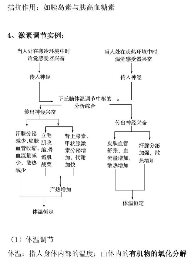 【高考生物】人和动物的激素调节的知识详解