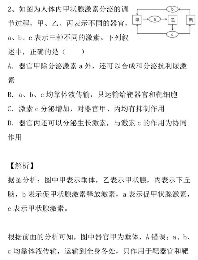 【高考生物】人和动物的激素调节的知识详解