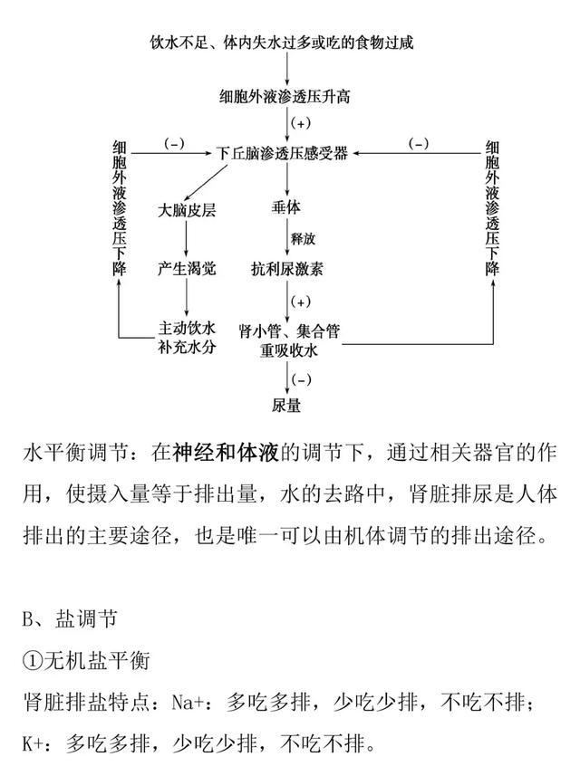 【高考生物】人和动物的激素调节的知识详解