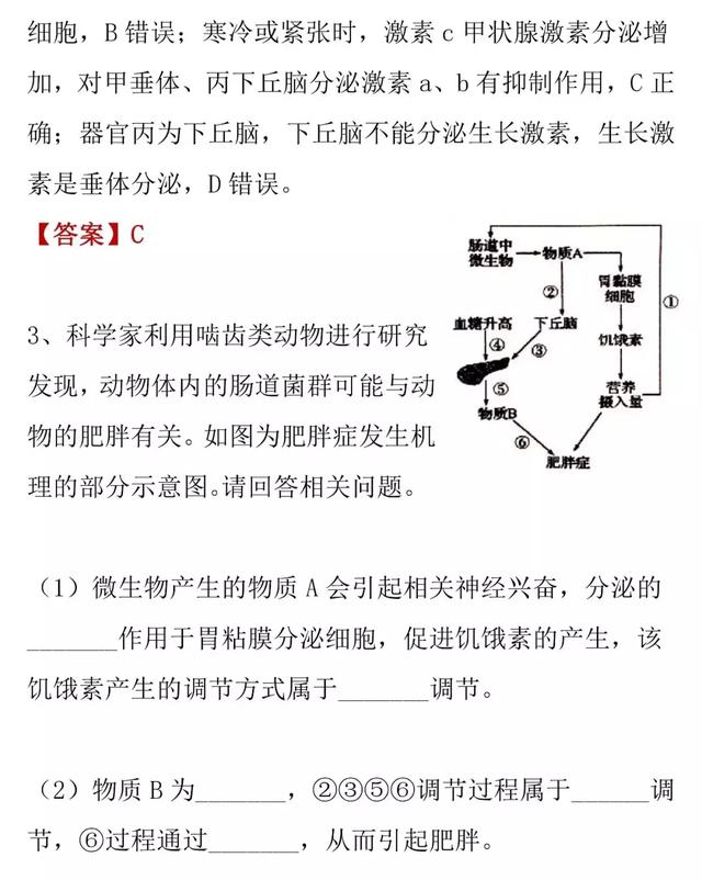 【高考生物】人和动物的激素调节的知识详解