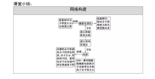 高考生物必看！选修一新增部分知识总结都在这里