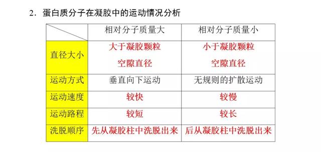 高考生物必看！选修一新增部分知识总结都在这里