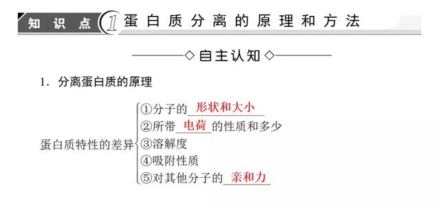 高考生物必看！选修一新增部分知识总结都在这里