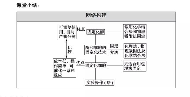 高考生物必看！选修一新增部分知识总结都在这里