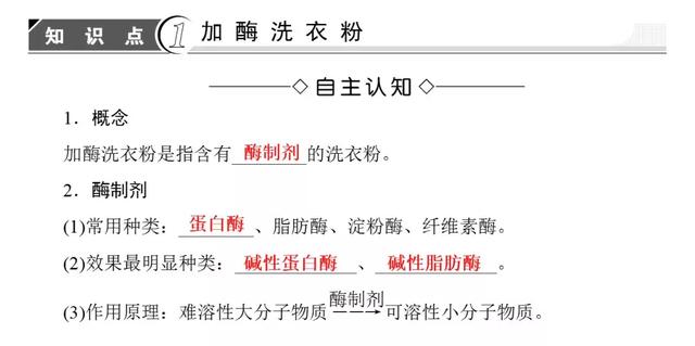 高考生物必看！选修一新增部分知识总结都在这里