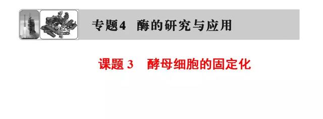 高考生物必看！选修一新增部分知识总结都在这里