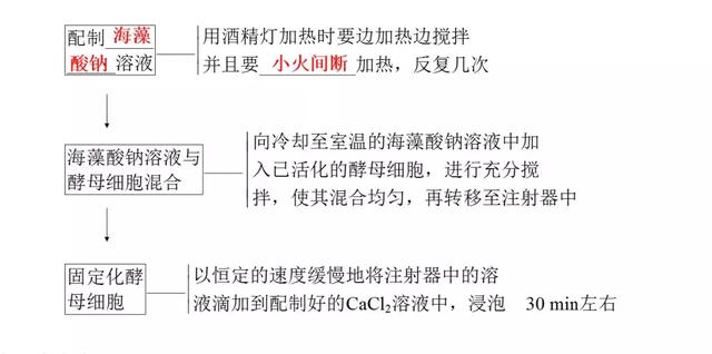 高考生物必看！选修一新增部分知识总结都在这里