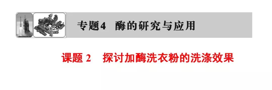 高考生物必看！选修一新增部分知识总结都在这里