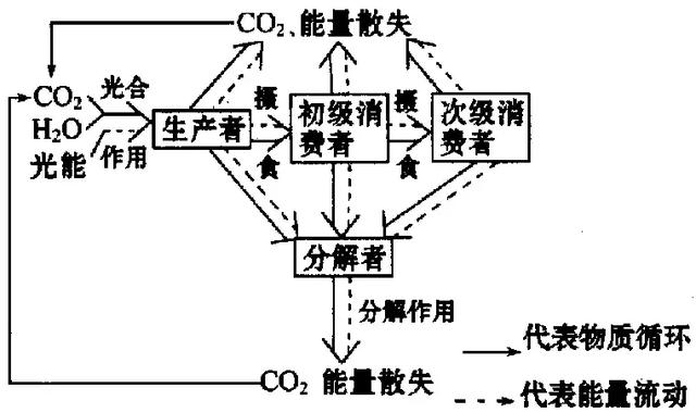 生态系统的物质循环重要考点汇总，考前必过一遍！