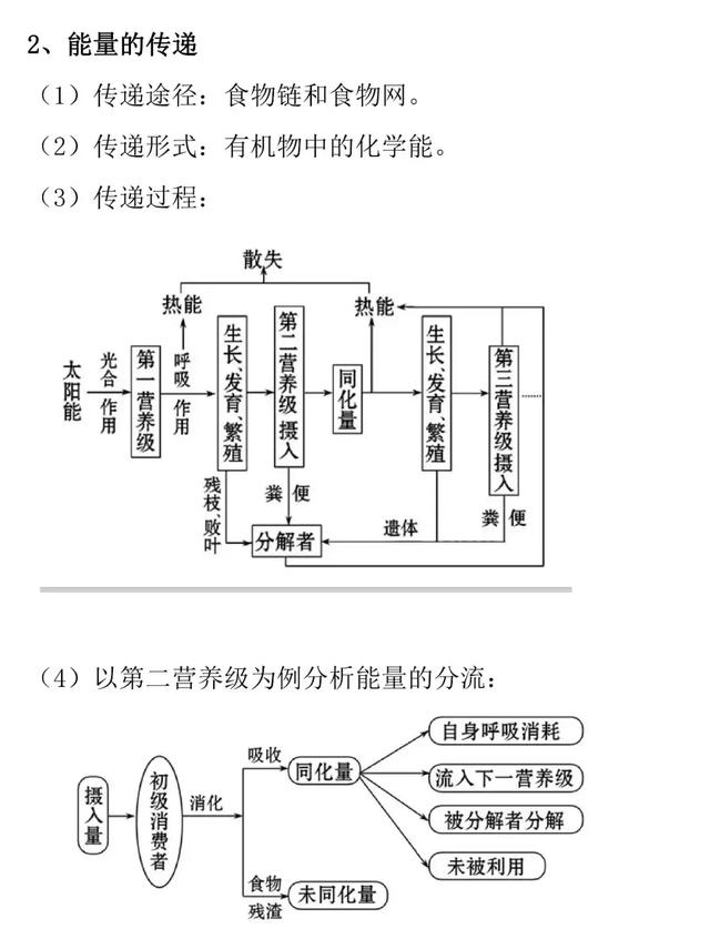 「高考生物」能量流动的知识详解