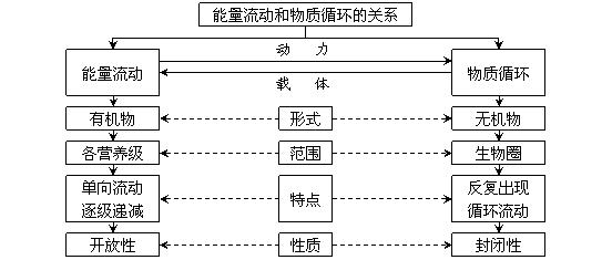 生态系统的物质循环重要考点汇总，考前必过一遍！