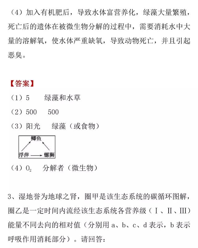 「高考生物」生态系统的结构和功能的知识详解