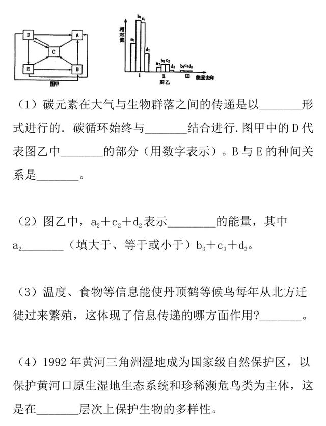 「高考生物」生态系统的结构和功能的知识详解