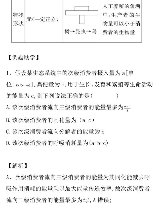 「高考生物」能量流动的知识详解