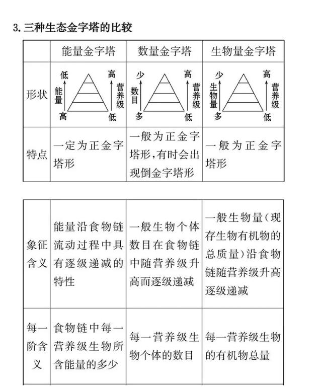 「高考生物」能量流动的知识详解