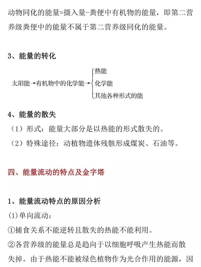 「高考生物」能量流动的知识详解