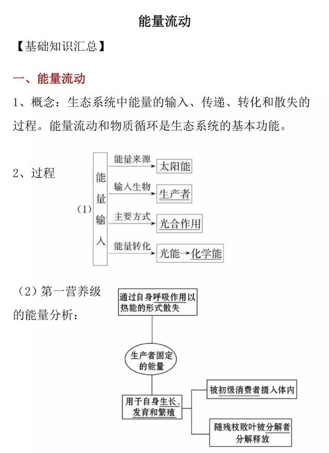 「高考生物」能量流动的知识详解