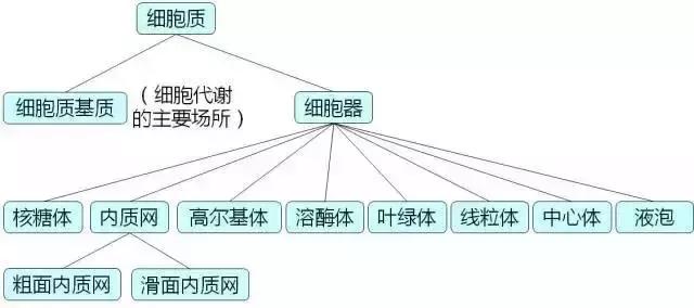 推荐 | 高中生物细胞核心知识点大全，图文解释超详细