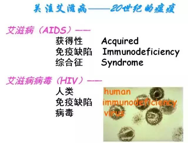 干货丨高中生物免疫调节知识总结！拿走收藏