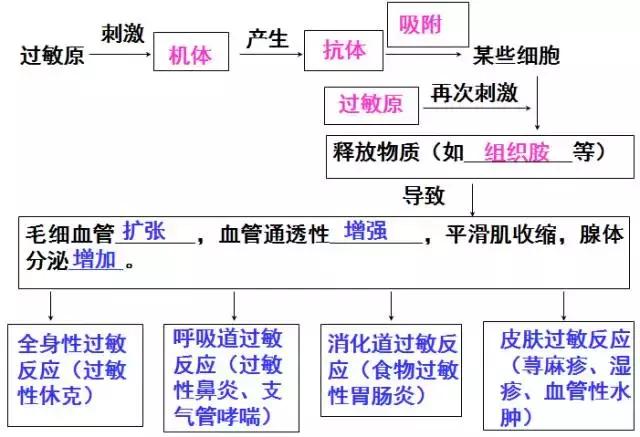 干货丨高中生物免疫调节知识总结！拿走收藏