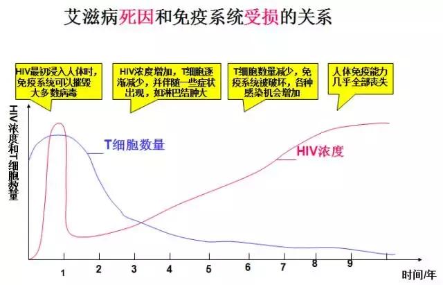 干货丨高中生物免疫调节知识总结！拿走收藏